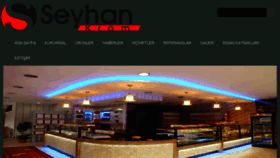 What Seyhankrom.com website looked like in 2017 (6 years ago)