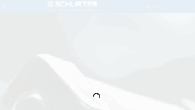 What Schurter.ch website looked like in 2017 (6 years ago)