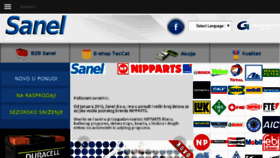What Sanel.biz website looked like in 2017 (6 years ago)