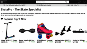 What Skatepro.com website looked like in 2018 (6 years ago)
