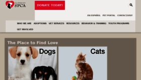 What Sfspca.org website looked like in 2018 (6 years ago)