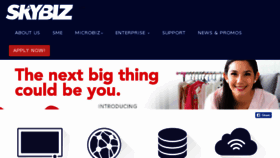 What Skybiz.com.ph website looked like in 2018 (6 years ago)