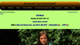 What Schondratal.de website looked like in 2018 (6 years ago)
