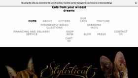 What Stylisticat.com website looked like in 2018 (6 years ago)