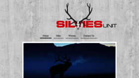 What Silviesunit.com website looked like in 2018 (6 years ago)