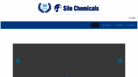What Silechemicals.com website looked like in 2018 (6 years ago)