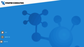 What Synapseconsulting.jp website looked like in 2018 (7 years ago)