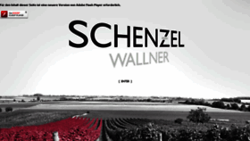 What Schenzel.com website looked like in 2018 (6 years ago)