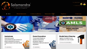 What Salamandrachile.cl website looked like in 2018 (6 years ago)