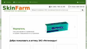 What Skinfarm.ru website looked like in 2018 (6 years ago)