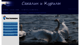 What Sakhalin.ru website looked like in 2018 (5 years ago)