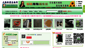 What Shhkw.cn website looked like in 2018 (5 years ago)
