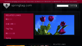 What Springtag.com website looked like in 2018 (6 years ago)