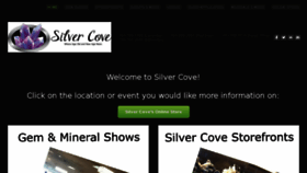 What Silvercove.biz website looked like in 2018 (6 years ago)