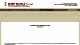 What Senormetals.in website looked like in 2018 (5 years ago)