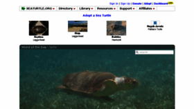 What Seaturtle.org website looked like in 2018 (5 years ago)