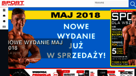 What Sdw.pl website looked like in 2018 (5 years ago)