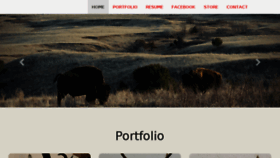 What Steeletaxidermy.com website looked like in 2018 (5 years ago)