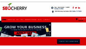 What Seocherry.com website looked like in 2018 (5 years ago)