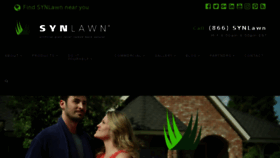 What Synlawn.com website looked like in 2018 (5 years ago)