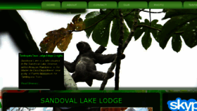 What Sandovallakeamazontravel.com website looked like in 2018 (5 years ago)