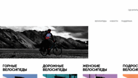 What Stingerbike.ru website looked like in 2018 (5 years ago)