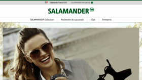 What Salamander.fr website looked like in 2018 (5 years ago)