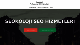 What Seokoloji.com website looked like in 2018 (5 years ago)