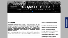 What Slask-wroclaw.pl website looked like in 2018 (5 years ago)