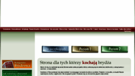 What Szkolabrydza.pl website looked like in 2018 (5 years ago)