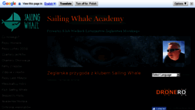 What Sailing-whale.com website looked like in 2018 (5 years ago)