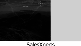 What Salesxperts.com website looked like in 2018 (5 years ago)