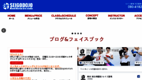 What Seigo-dojo.com website looked like in 2018 (5 years ago)