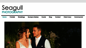 What Seagullphotography.co.uk website looked like in 2018 (5 years ago)