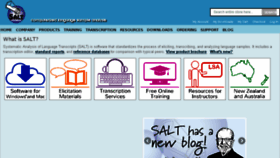 What Saltsoftware.com website looked like in 2018 (5 years ago)