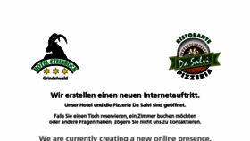 What Steinbock-grindelwald.ch website looked like in 2018 (5 years ago)