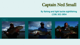What Sightfish.com website looked like in 2018 (5 years ago)