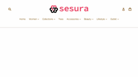 What Sesura.com website looked like in 2018 (5 years ago)