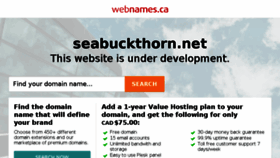 What Seabuckthorn.net website looked like in 2018 (5 years ago)
