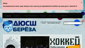 What Sportbereza.by website looked like in 2018 (5 years ago)