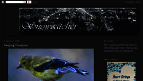 What Snowcatcher.net website looked like in 2018 (5 years ago)