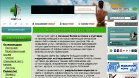 What Spinet.ru website looked like in 2018 (5 years ago)