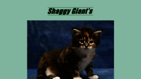 What Shaggy-giants.de website looked like in 2018 (5 years ago)
