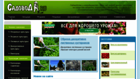 What Sadovoda.ru website looked like in 2018 (5 years ago)
