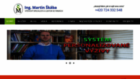 What Skaba.cz website looked like in 2018 (5 years ago)