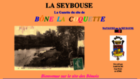What Seybouse.info website looked like in 2018 (5 years ago)