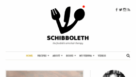 What Schibboleth.com website looked like in 2018 (5 years ago)