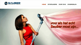 What Saubereurope.com website looked like in 2018 (5 years ago)
