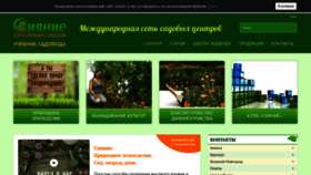 What Sianie1.ru website looked like in 2018 (5 years ago)