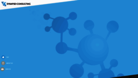 What Synapseconsulting.jp website looked like in 2018 (6 years ago)